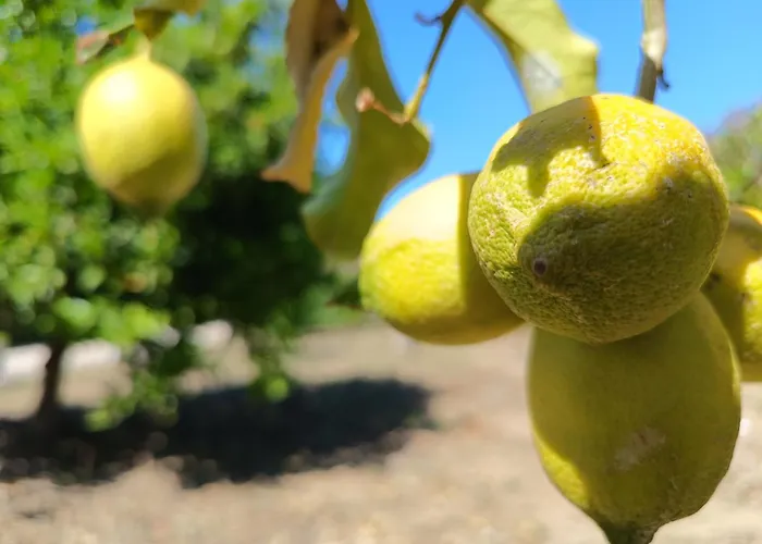 Luxury A 2 Passi Dal Mare Villa *