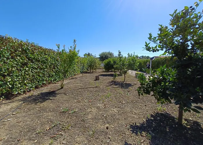 Villa Luxury A 2 Passi Dal Mare *